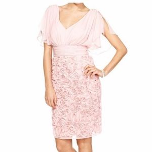 NWOT JS COLLECTIONS Blush Soutache Ruched Dress